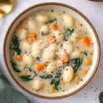 Vegetarian Gnocchi Soup Recipe