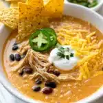 Instant Pot Chicken Vegetable Soup Recipe