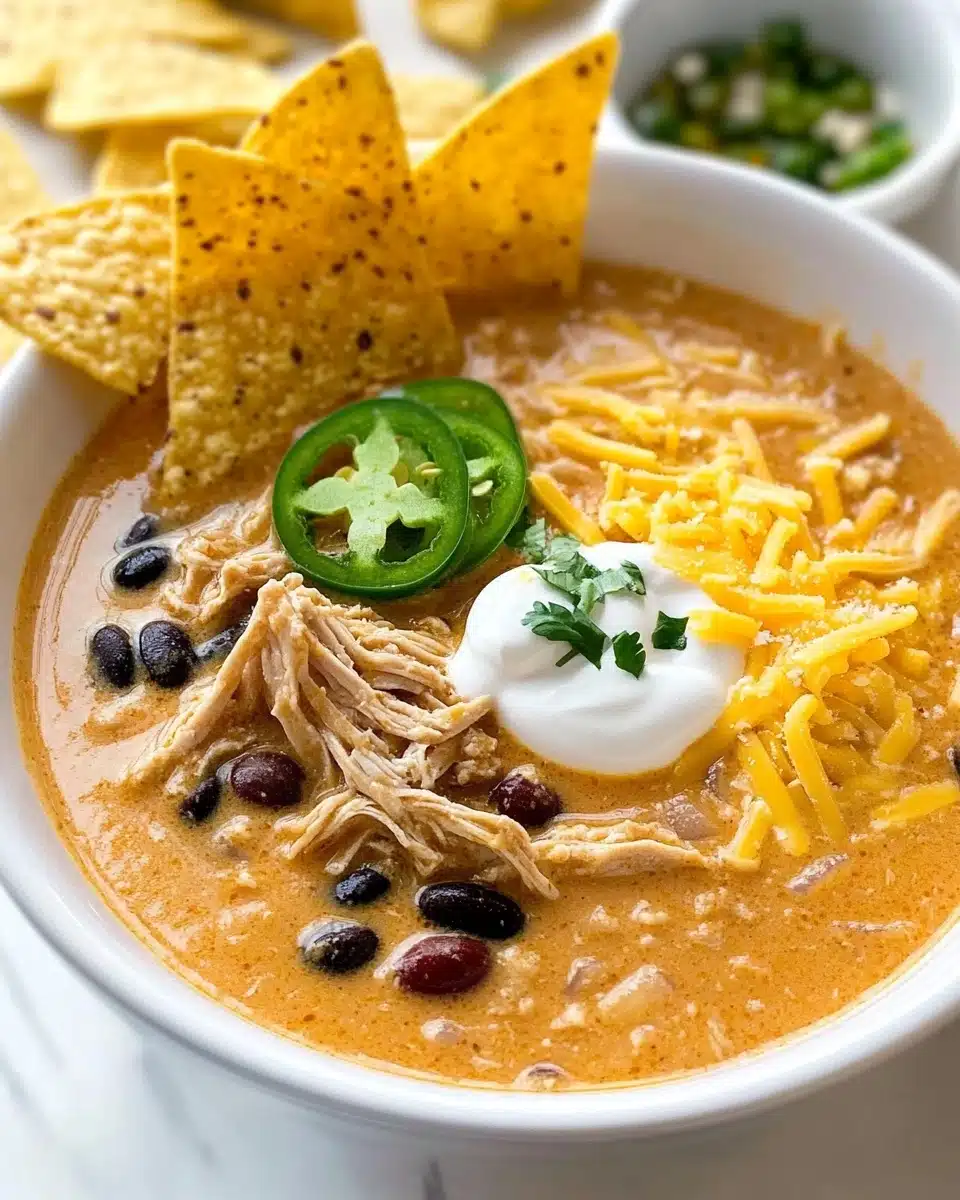 Instant Pot Chicken Vegetable Soup Recipe