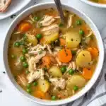 Slow Cooker Chicken Stew Recipe