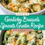 Garlicky Creamy Brussels Sprouts Au Gratin Recipe